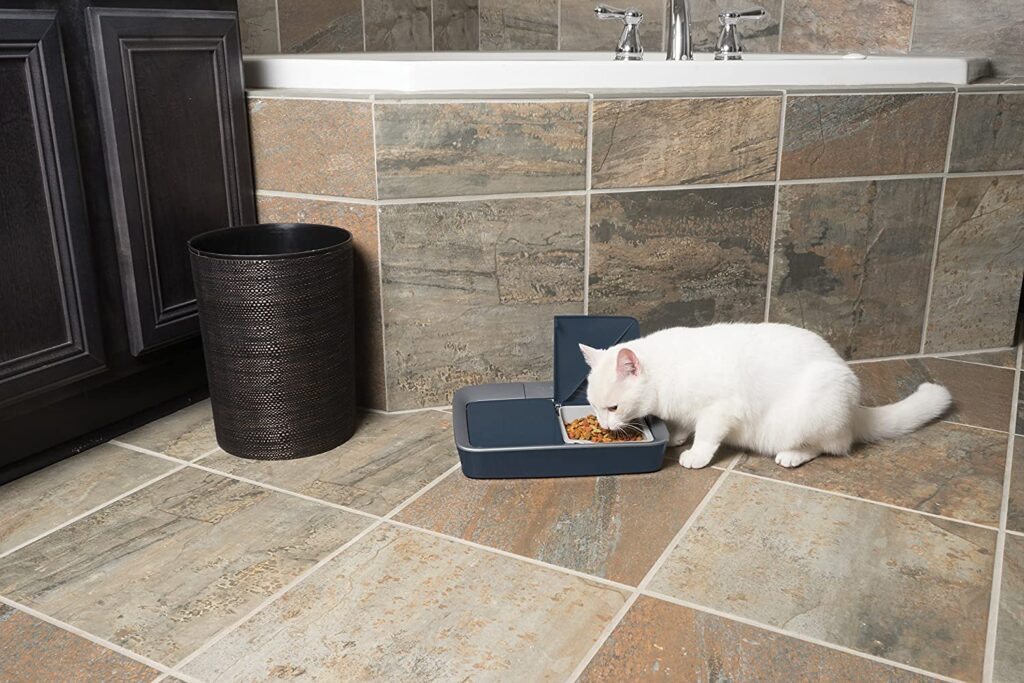 PetSafe-Cat-and-Dog-Food-Dispenser-Automatic-1-1