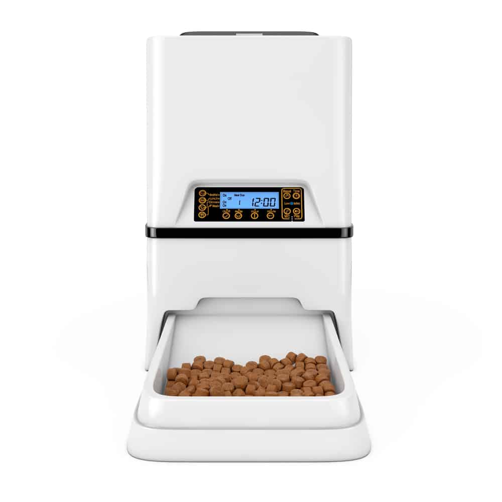 BEST Automatic CAT FEEDERS For WET And DRY FOOD