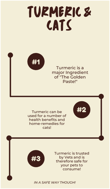 is turmeric safe for cats
