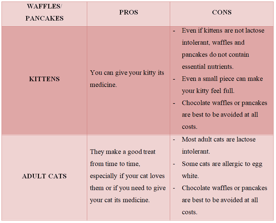 CAN Cats Eat WAFFLES Or PANCAKES