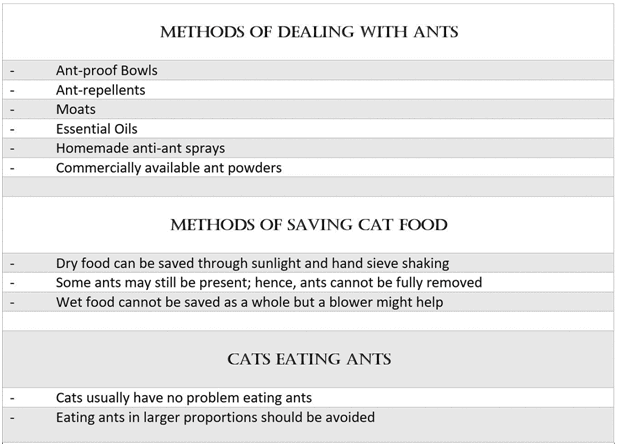 how to keep cat food safe from ants