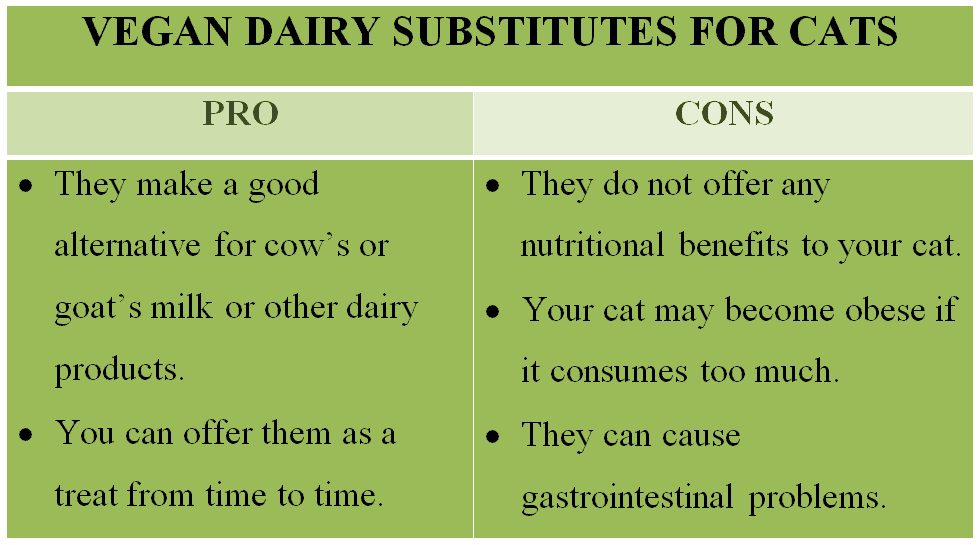 CAN Cats CONSUME VEGAN MILK ALMOND, SOY, OAT Or COCONUT And Other Dairy Substitutes