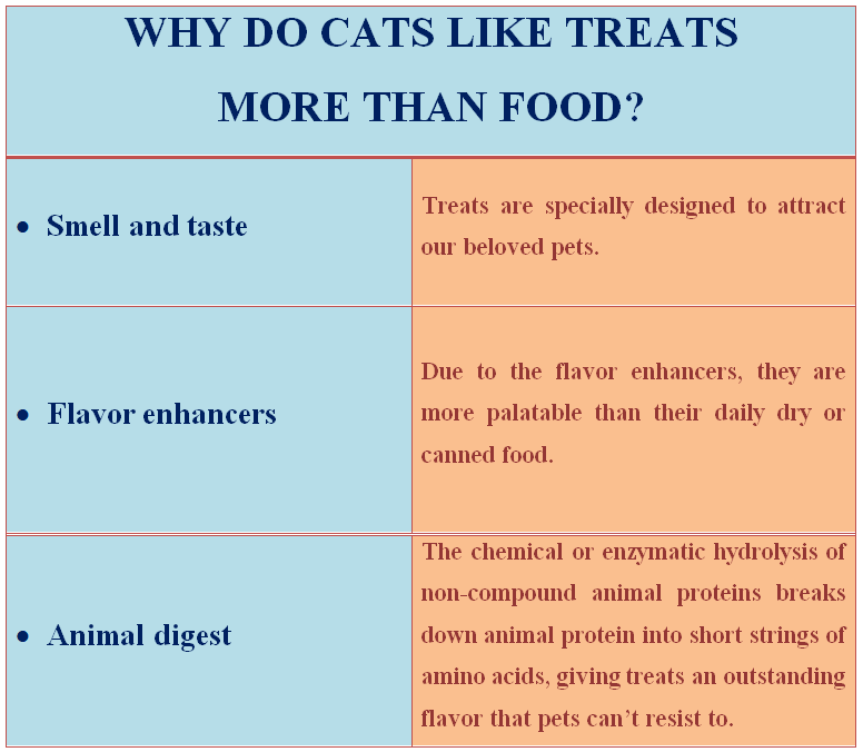 why cats like treats more them food