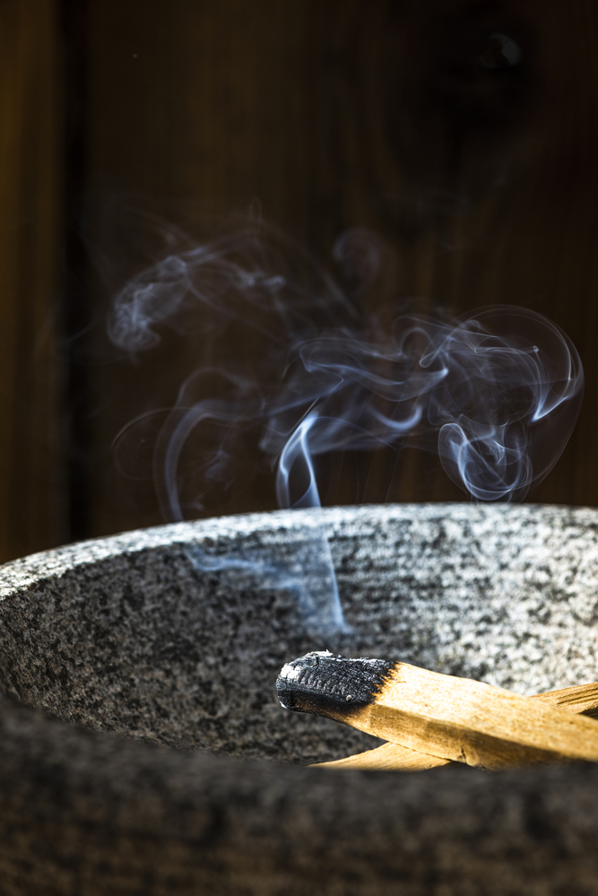 burning palo santo for cats