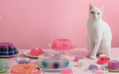 can cats eat jello jelly or gelatin?