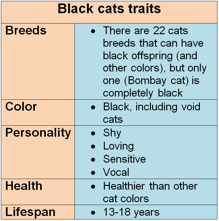 black cats voids